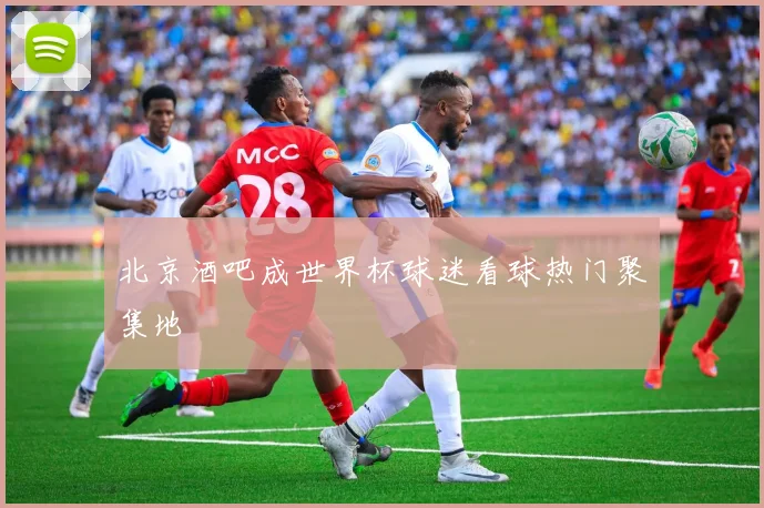 北京酒吧成世界杯球迷看球热门聚集地