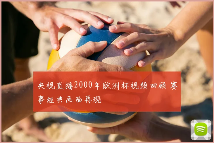 央视直播2000年欧洲杯视频回顾 赛事经典画面再现