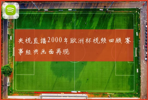 央视直播2000年欧洲杯视频回顾 赛事经典画面再现