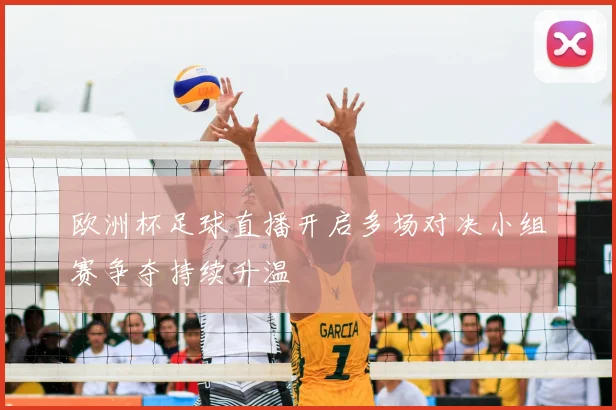 欧洲杯足球直播开启多场对决小组赛争夺持续升温